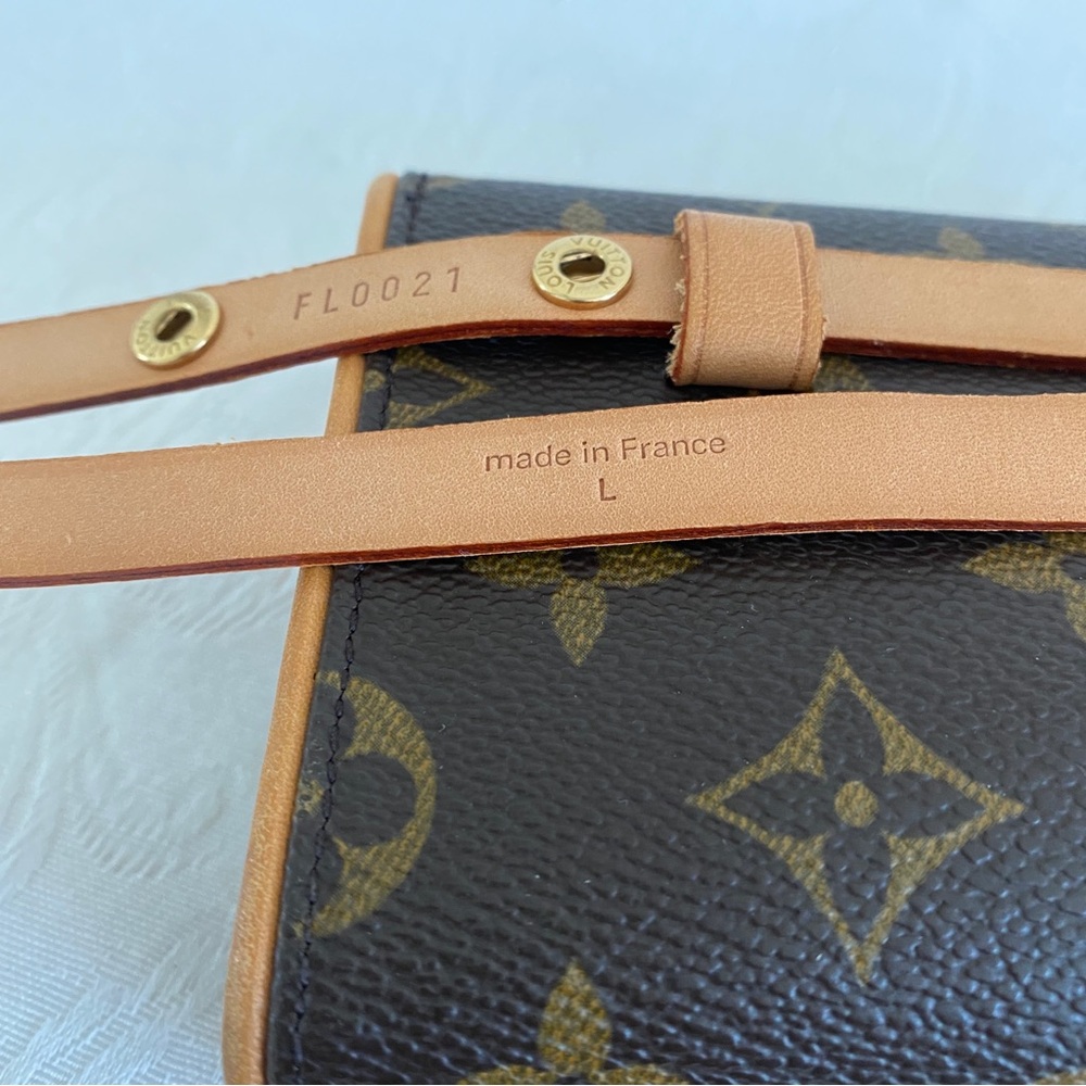 Louis Vuitton Pochette Florentine Belt Bag - Picture 8 of 16